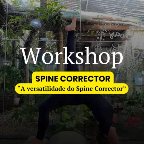 Spine Corrector